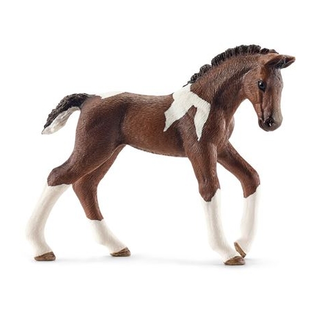 Mukk Munster Schleich World Of Nature Farm Life Pferde Trakehner Fohlen Schleich