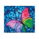 Diamond Dotz Schmetterling 30,5 x 30,5 cm