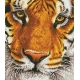 Diamond Dotz Tiger 36x42 cm