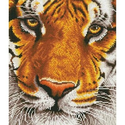 Diamond Dotz Tiger 36x42 cm