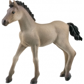 Schleich Horse Club 13949 Criollo Definitivo Fohlen