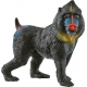 Mandrill