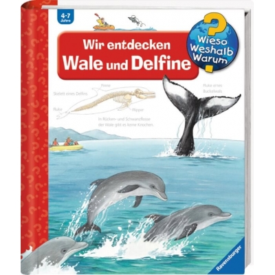 Ravensburger 32775 Wieso? Weshalb? Warum? 41: Wir entdecken Wale und Delfine