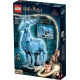 LEGO® Harry Potter™ 76414 Expect