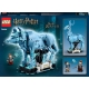 LEGO® Harry Potter™ 76414 Expect