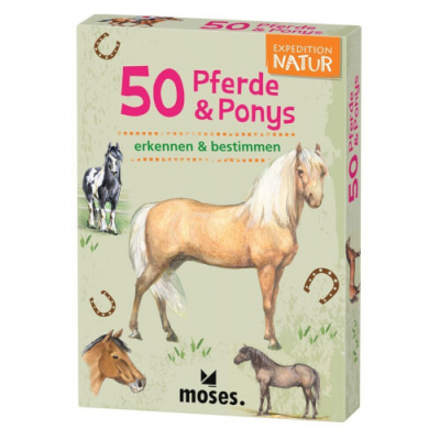 50 Pferde und Ponys