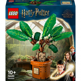 LEGO® Harry Potter™ 76433 Zauber